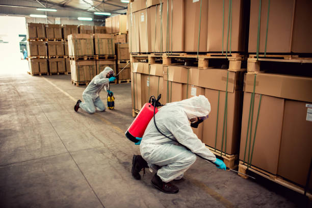 Best Bed Bug Extermination  in Garden Ridge, TX