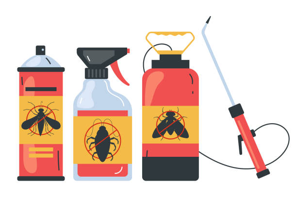 Best Local Pest Control Services  in Garden Ridge, TX